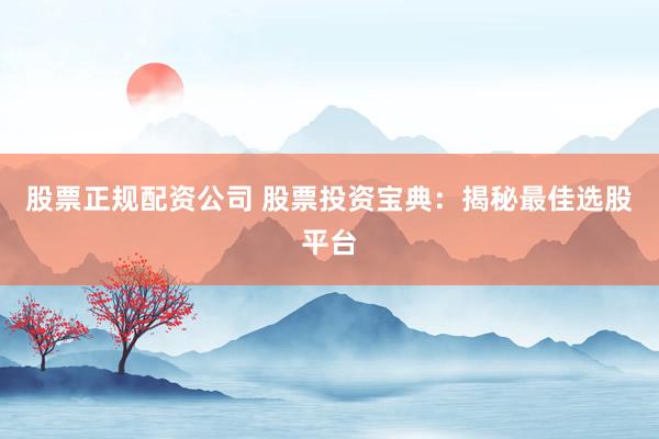 股票正规配资公司 股票投资宝典：揭秘最佳选股平台